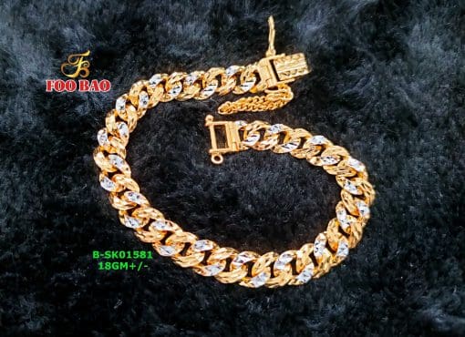 B-SK01581