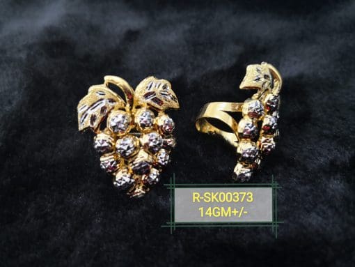 R-SK00373