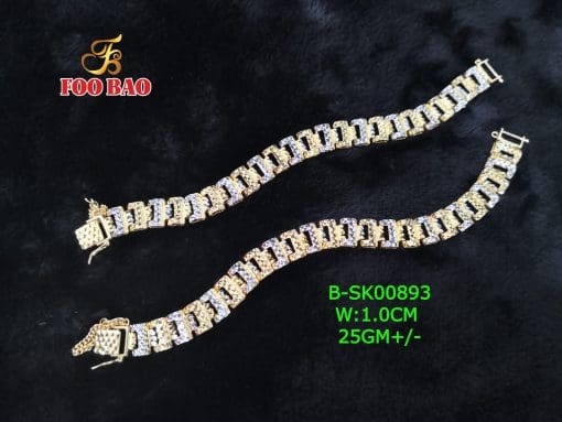 B-SK00893