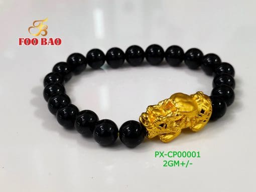PX-CP00001