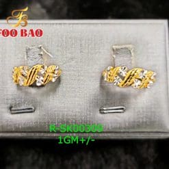 R-SK00309