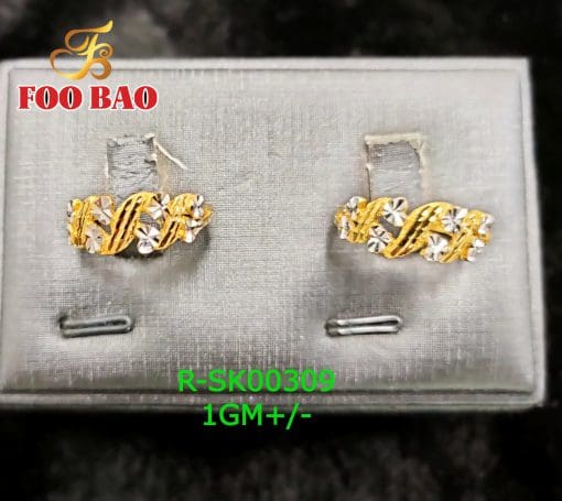 R-SK00309