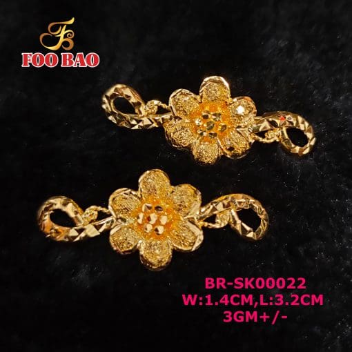 BR-SK00022