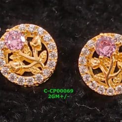 C-CP00069