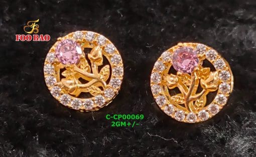 C-CP00069