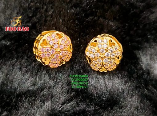 C-CP00097