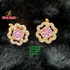 C-CP00099