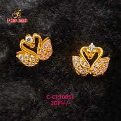 C-CP10051