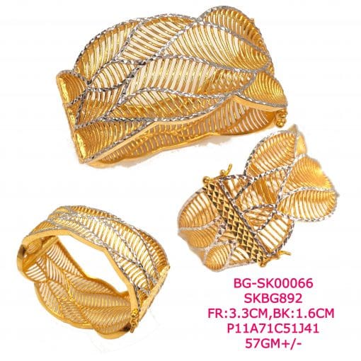 BG-SK00066