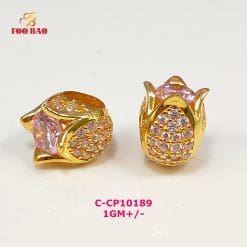 C-CP10189