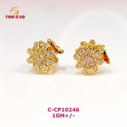 C-CP10246