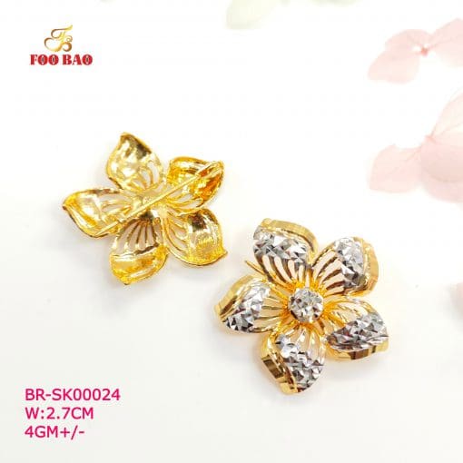BR-SK00024