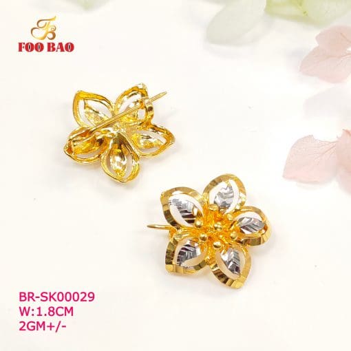 BR-SK00029