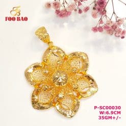 P-SC00030
