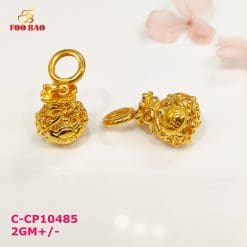 C-CP10485