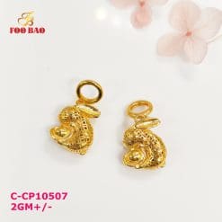 C-CP10507