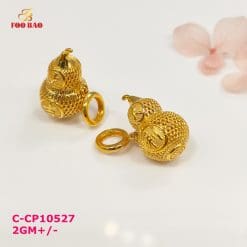 C-CP10527
