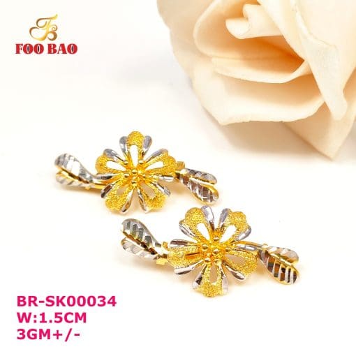 BR-SK00034