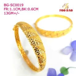 BG-SC0019