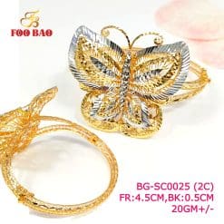 BG-SC0025