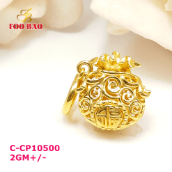 C-CP10500