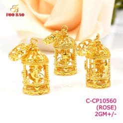 C-CP10560