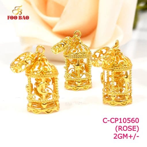 C-CP10560
