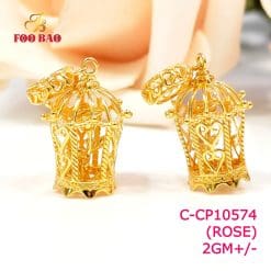 C-CP10574