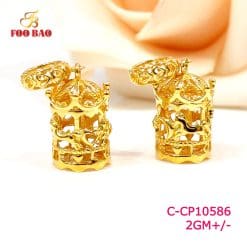 C-CP10586