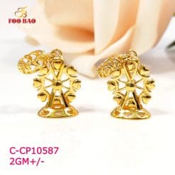 C-CP10587