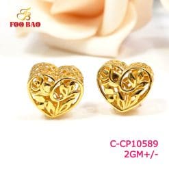 C-CP10589