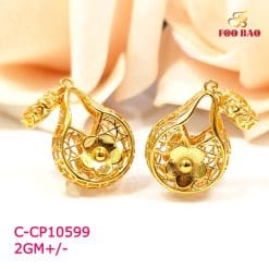 C-CP10599