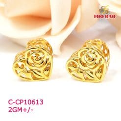 C-CP10613