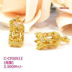C-CP20513