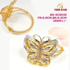 BG-SC0030