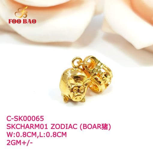 C-SK00065