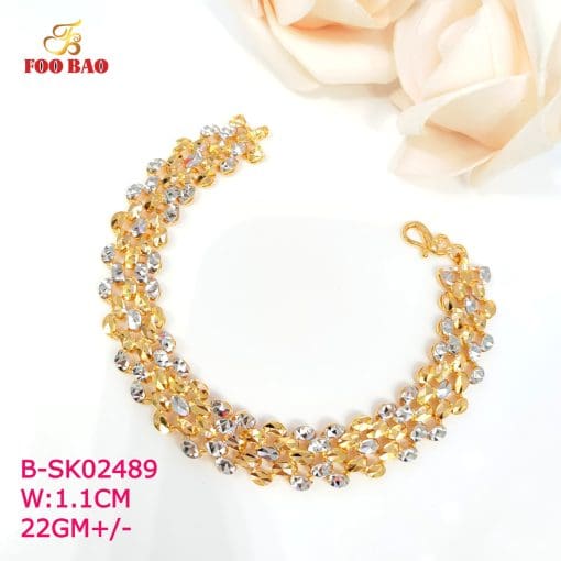 B-SK02489
