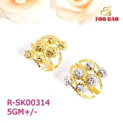 R-SK00314