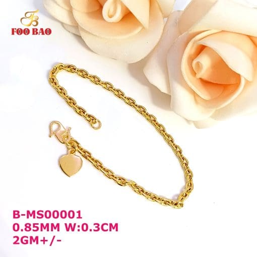 B-MS00001