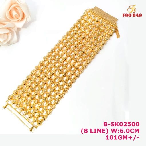 B-SK02500