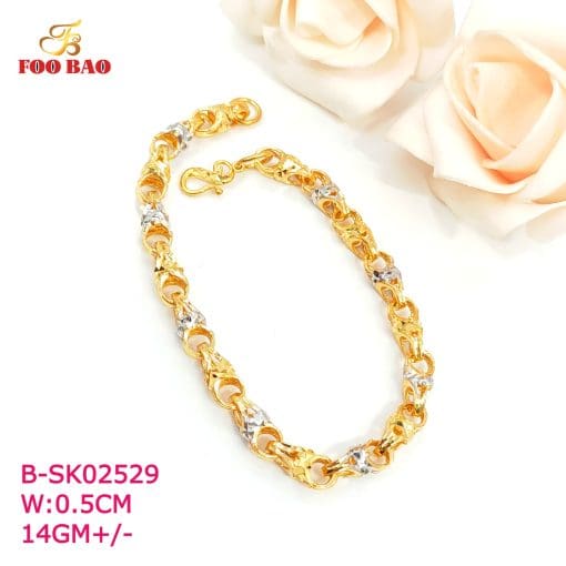 B-SK02529