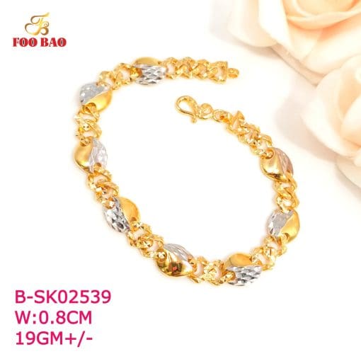 B-SK02539