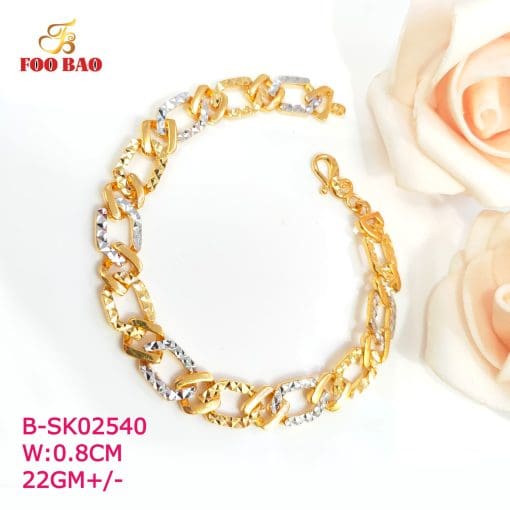 B-SK02540