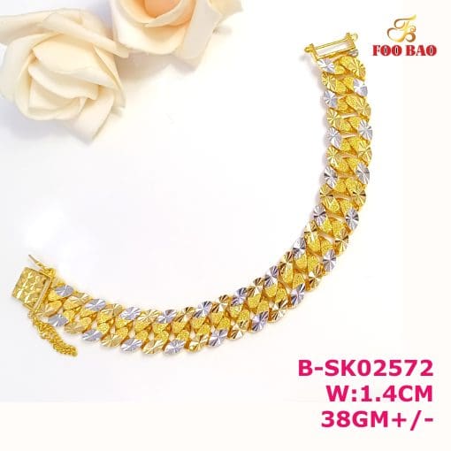 B-SK02572