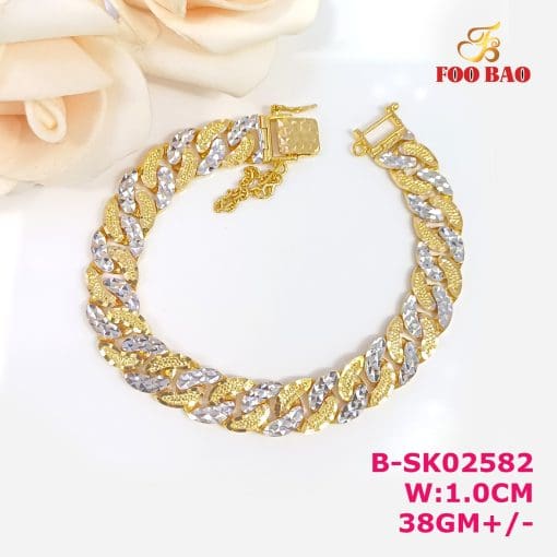 B-SK02582