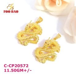 C-CP20572