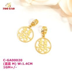 C-GA00020