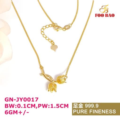 GN-JY0017