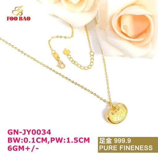 GN-JY0034