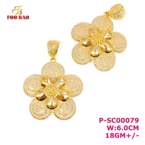 P-SC00079